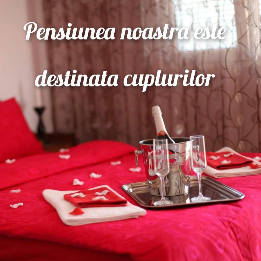 Vila Floarea Etiquette 코스티네스티 외부 사진