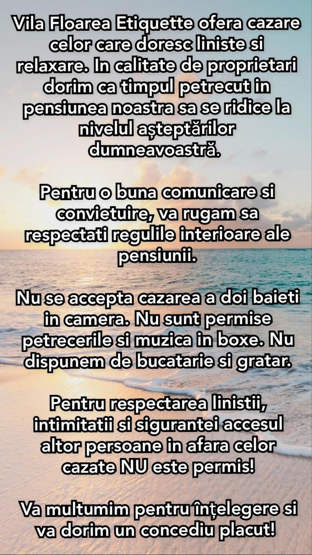 Vila Floarea Etiquette 코스티네스티 외부 사진